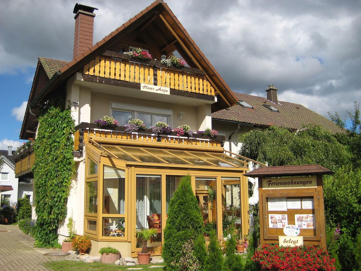 Appartamento Haus Anja Titisee-Neustadt Esterno foto