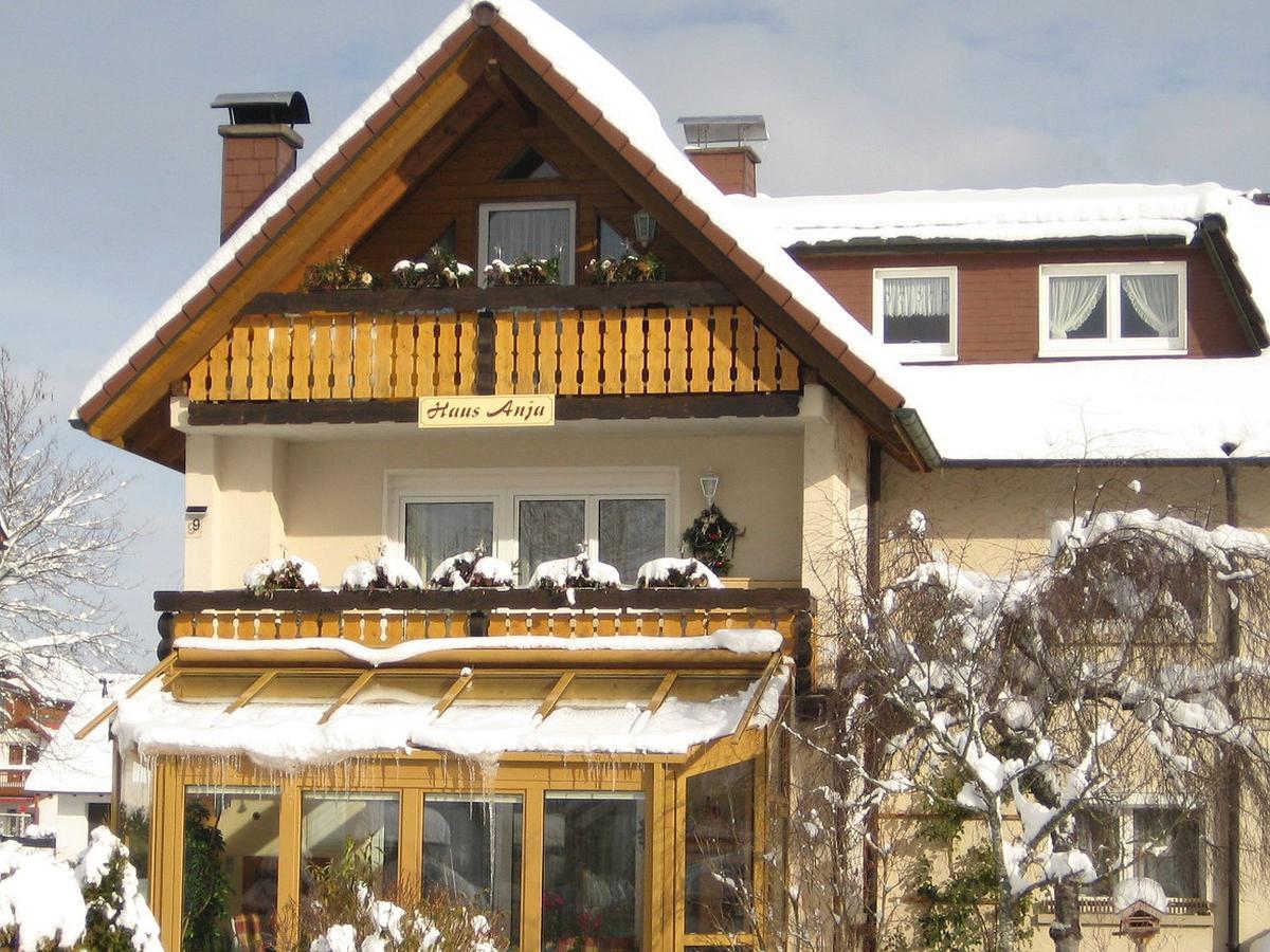 Appartamento Haus Anja Titisee-Neustadt Esterno foto