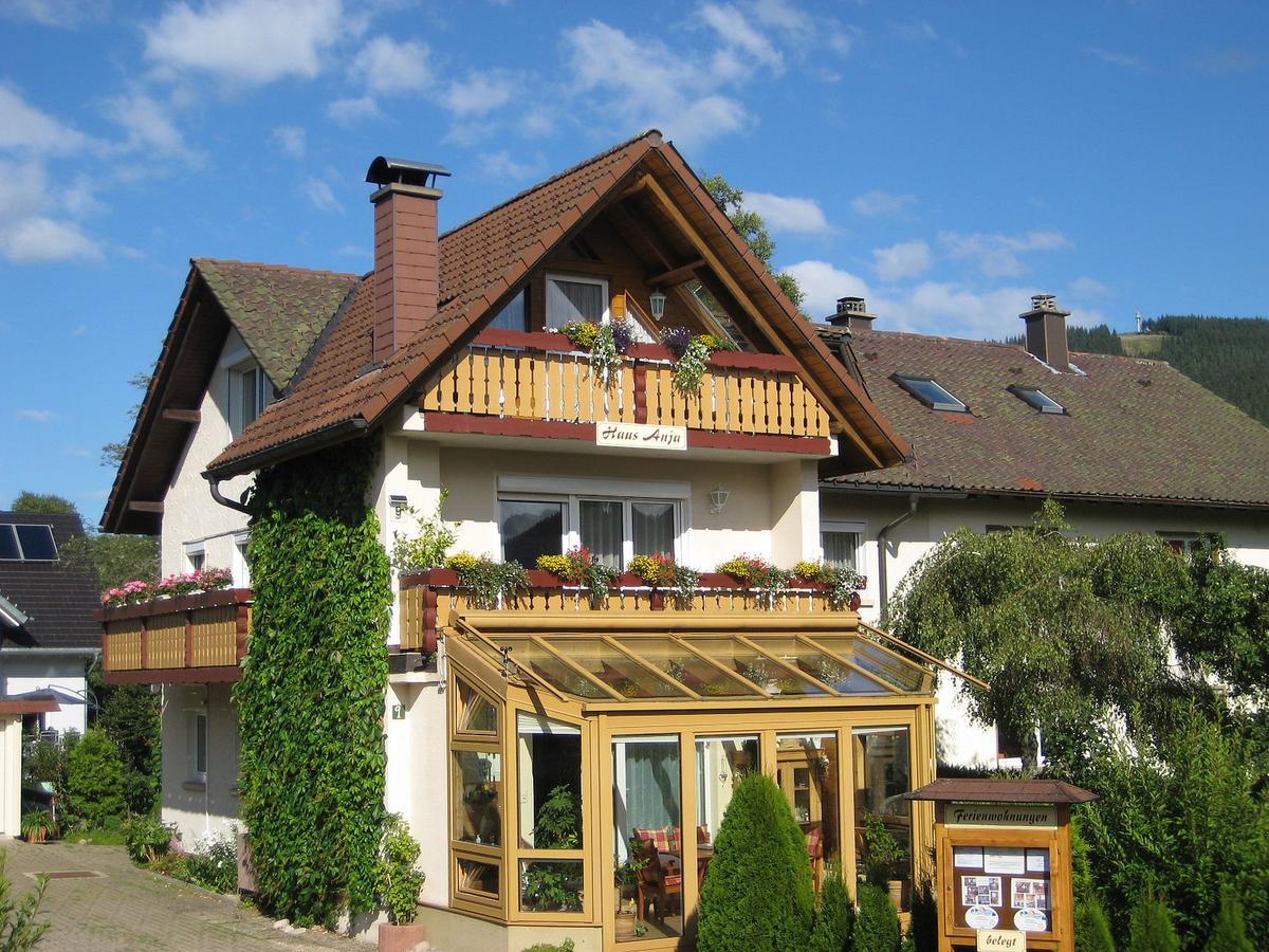 Appartamento Haus Anja Titisee-Neustadt Esterno foto
