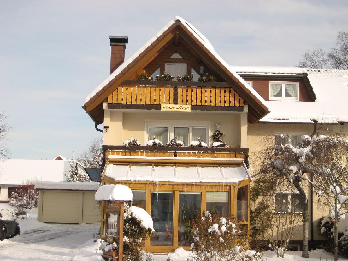 Appartamento Haus Anja Titisee-Neustadt Esterno foto